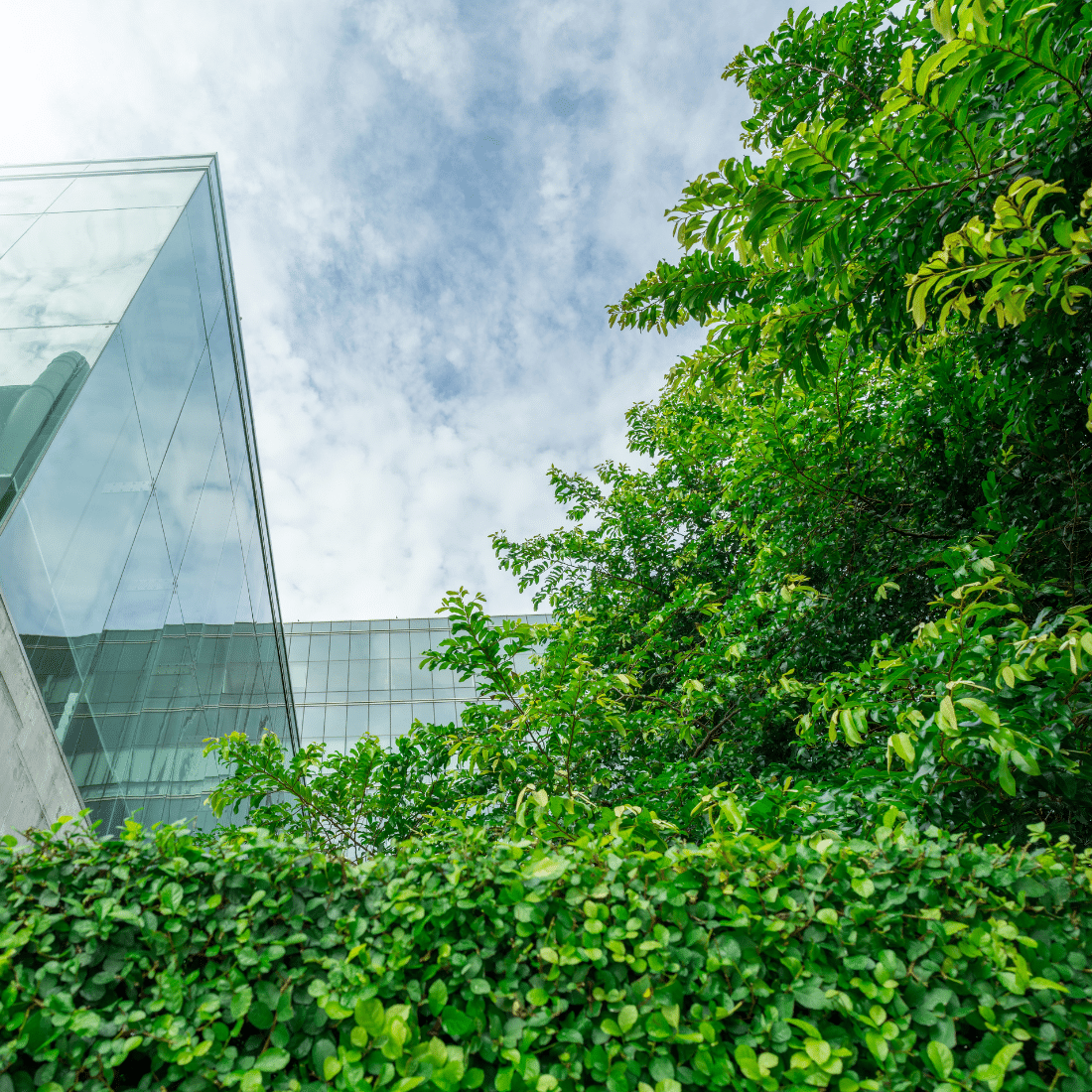 ABGi France - Stratégie environnementale et CSRD - Building écoresponsable