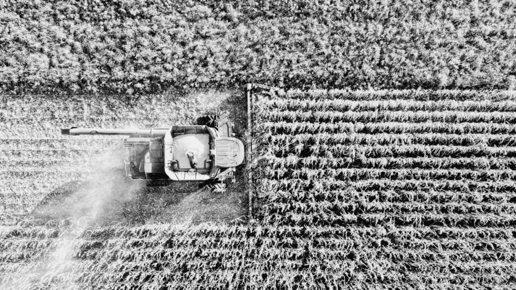 Filiere Agro Abgi France