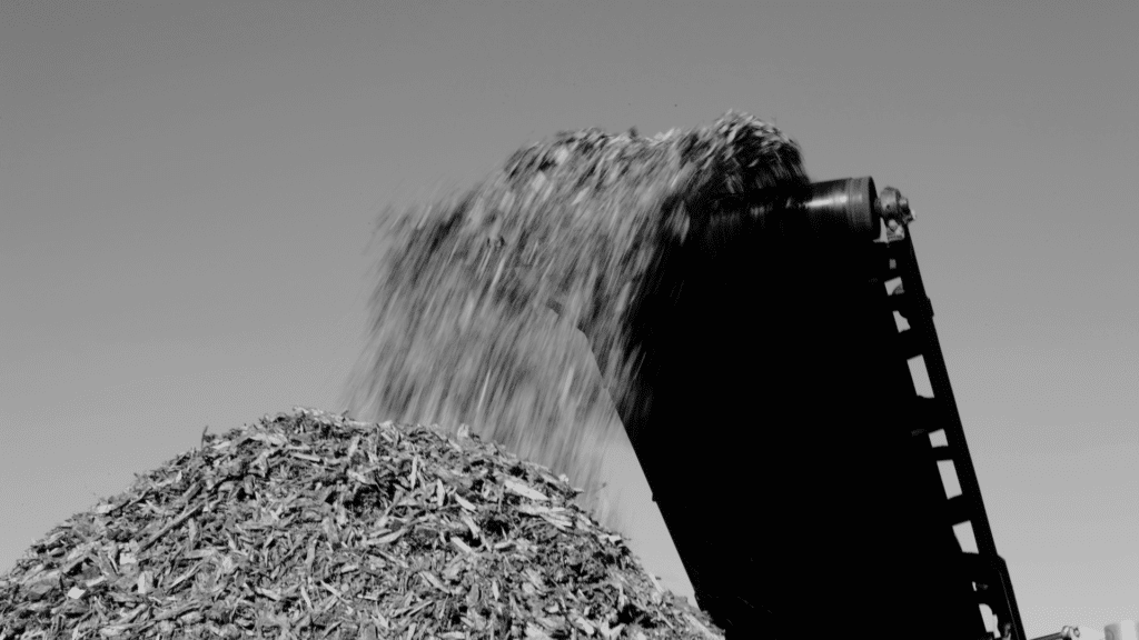 Filiere Bois Biomasse Abgi France