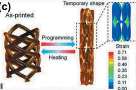 Illustration du caractère dynamique d’un stent fabriqué par impression 4D.
