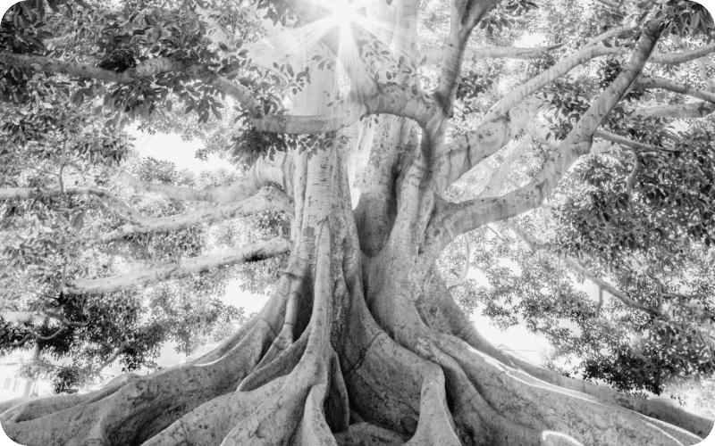 Valeur Durable Abgi France